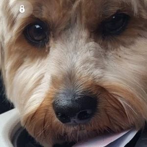 Meet your Posher, Seth